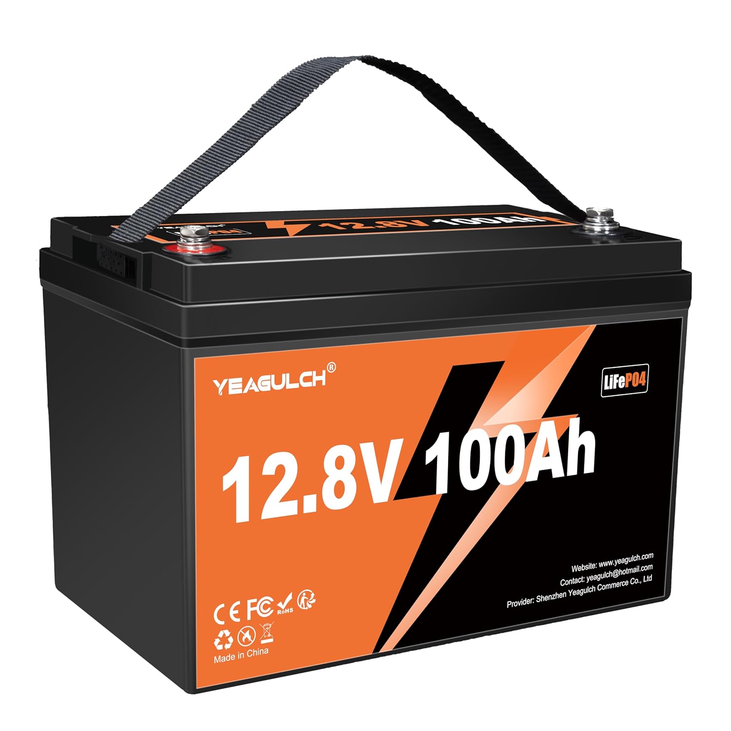 Lifepo4 Battery 12V 100Ah - 12V 100Ah LiFePO4-batterij met 100A BMS,