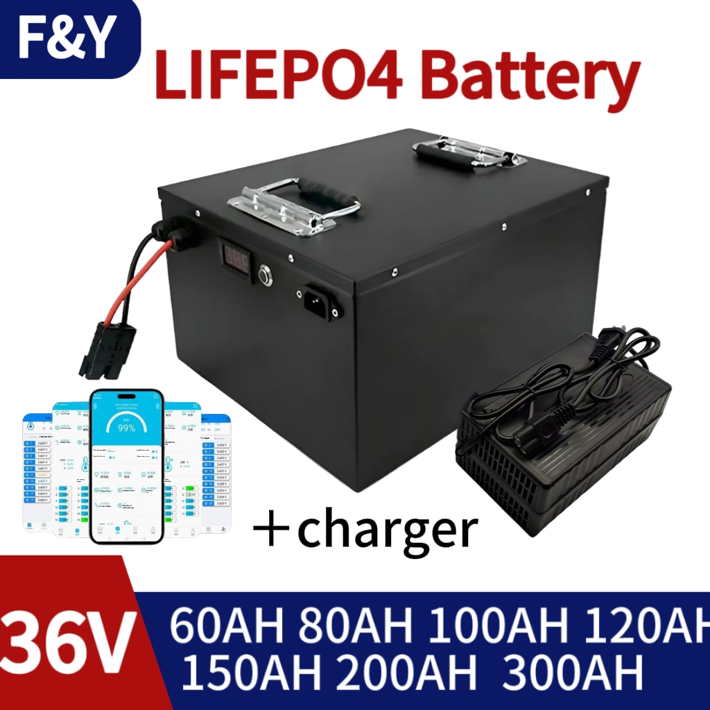 Lifepo4 Battery 36V 100Ah - LifePo4 Lithiumbatterij 36V voor golfkar elektrisch