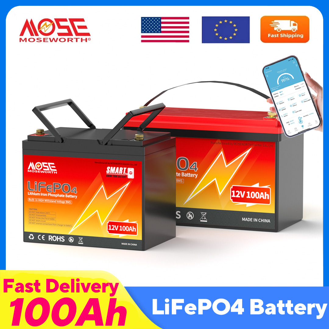 MOSEWORTH LiFePO4 12V 100Ah ba - 12V 100Ah Lifepo4 Bluetooth Bms recensie en prijs