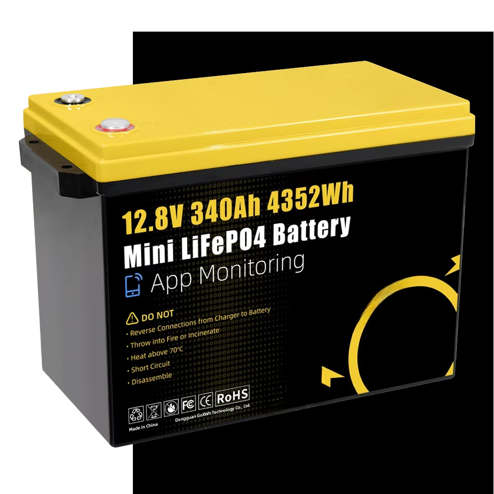 GoKWh Marine 12v Lifepo4 Lithi - Lifepo4 Battery 12V 100Ah recensie en prijs