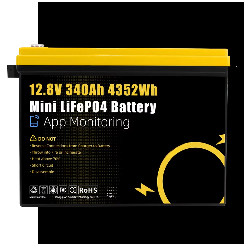 GoKWh Marine 12v Lifepo4 Lithi - Lifepo4 Battery 12V 100Ah recensie en prijs