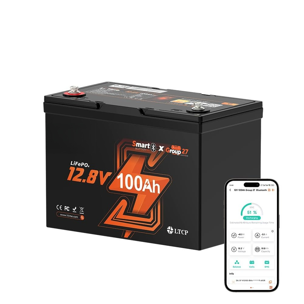 12V 100Ah LiFePO4 Batterij, Gr - 12V 100Ah Lifepo4 Bluetooth Bms recensie en prijs