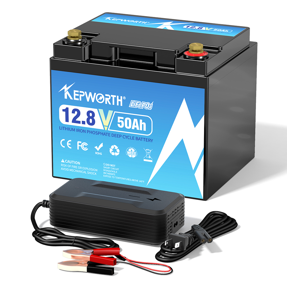 Nieuwe 12V 24V 36V 48V 30Ah 50 - Lifepo4 48V 50Ah Golf Cart recensie en prijs