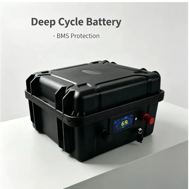 48V Oplaadbare LiFePO4 Batteri - Lifepo4 48V 50Ah Golf Cart recensie en prijs