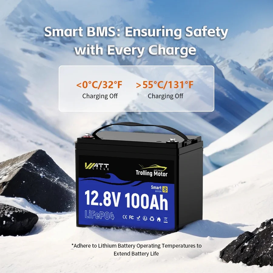 Wattcycle 12.8V 100Ah 120A BMS - 12V 100Ah Lifepo4 Bluetooth Bms recensie en prijs