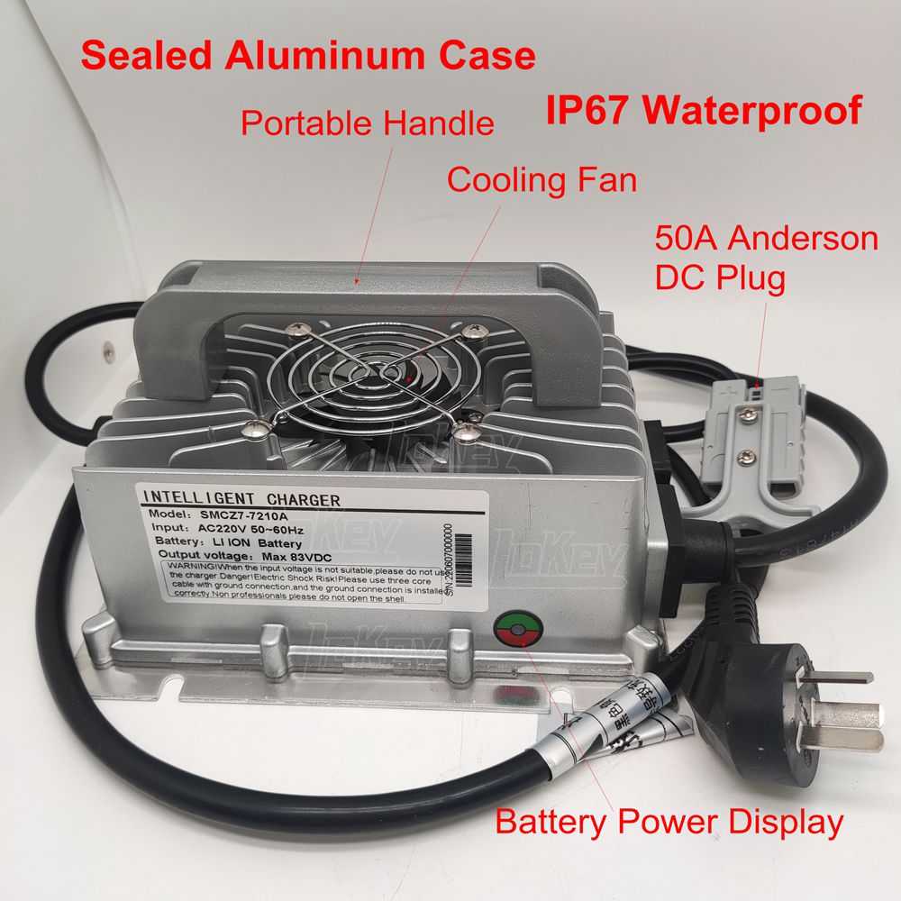 1500W 12V 24V 36V 48V 60V 72V  - Lifepo4 Charger 48V 20A recensie en prijs