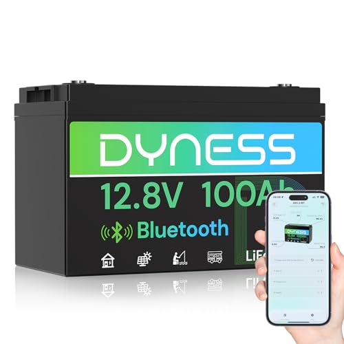 12V 100Ah Bluetooth LiFePO4 Ba - 12V 100Ah Lifepo4 Bluetooth Bms recensie en prijs