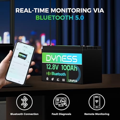 12V 100Ah Bluetooth LiFePO4 Ba - 12V 100Ah Lifepo4 Bluetooth Bms recensie en prijs