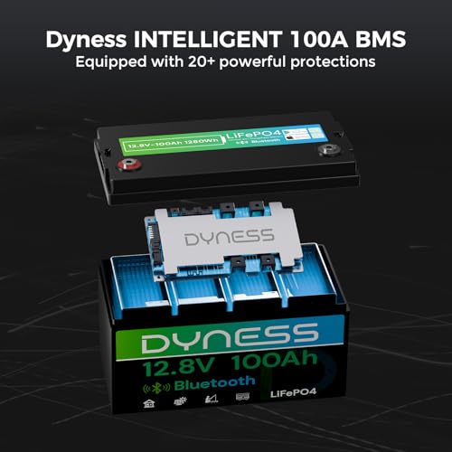 12V 100Ah Bluetooth LiFePO4 Ba - 12V 100Ah Lifepo4 Bluetooth Bms recensie en prijs