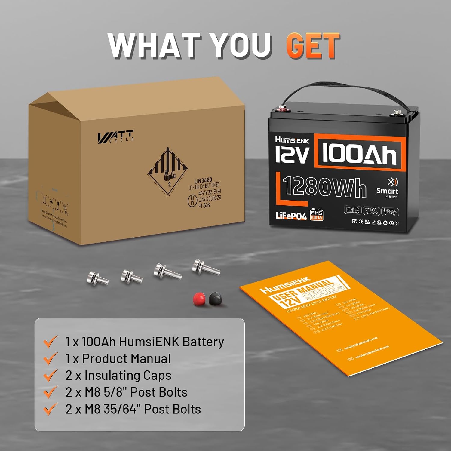 12V 100Ah LiFePO4 lithiumbatte - 12V 100Ah Lifepo4 Bluetooth Bms recensie en prijs